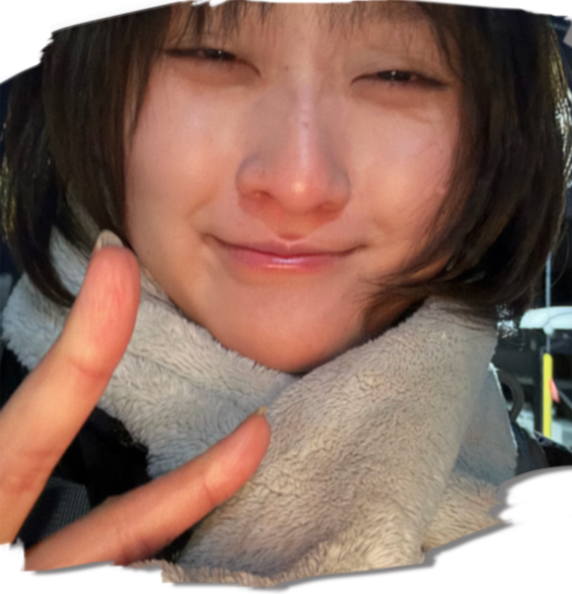 吉田の顔写真